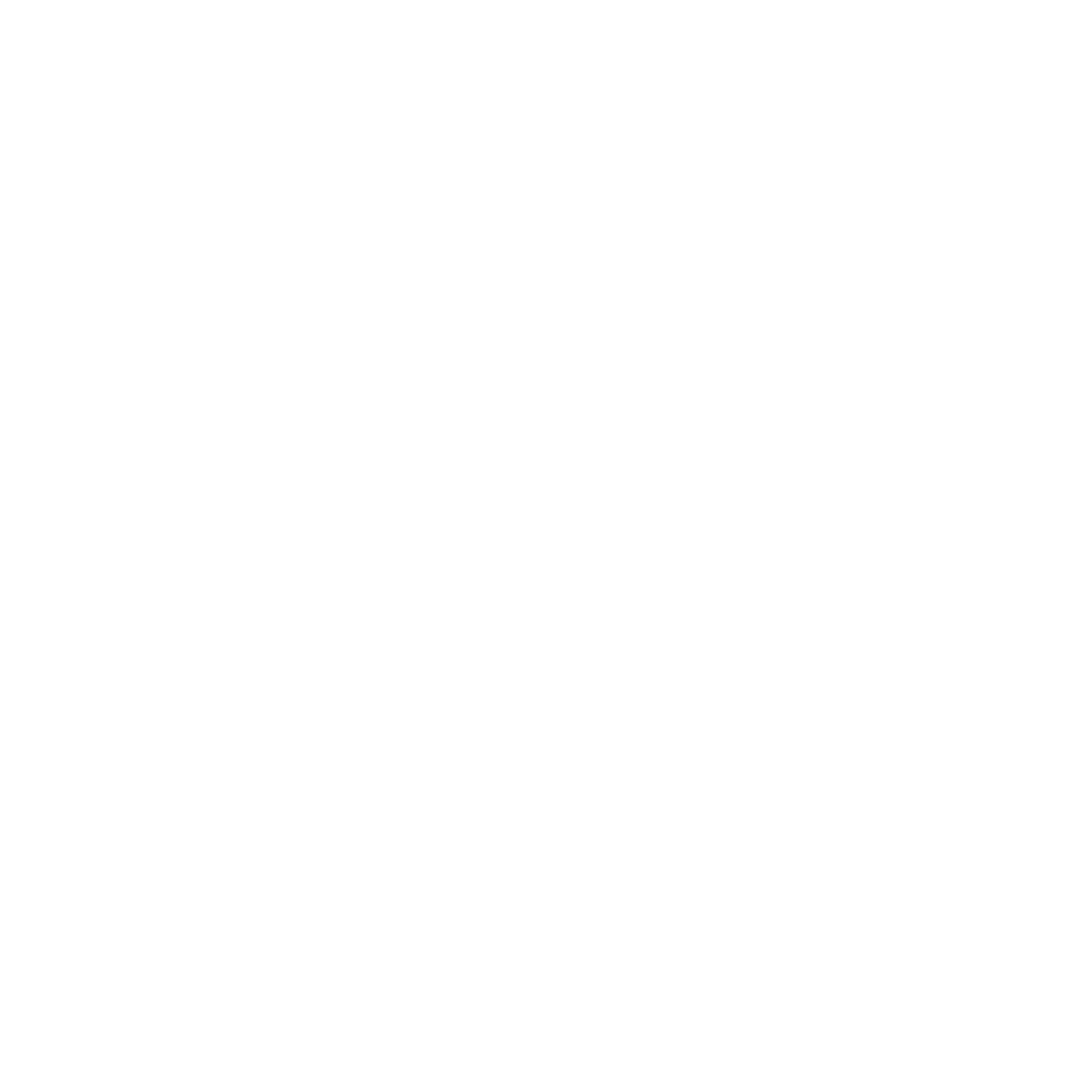 Logo White